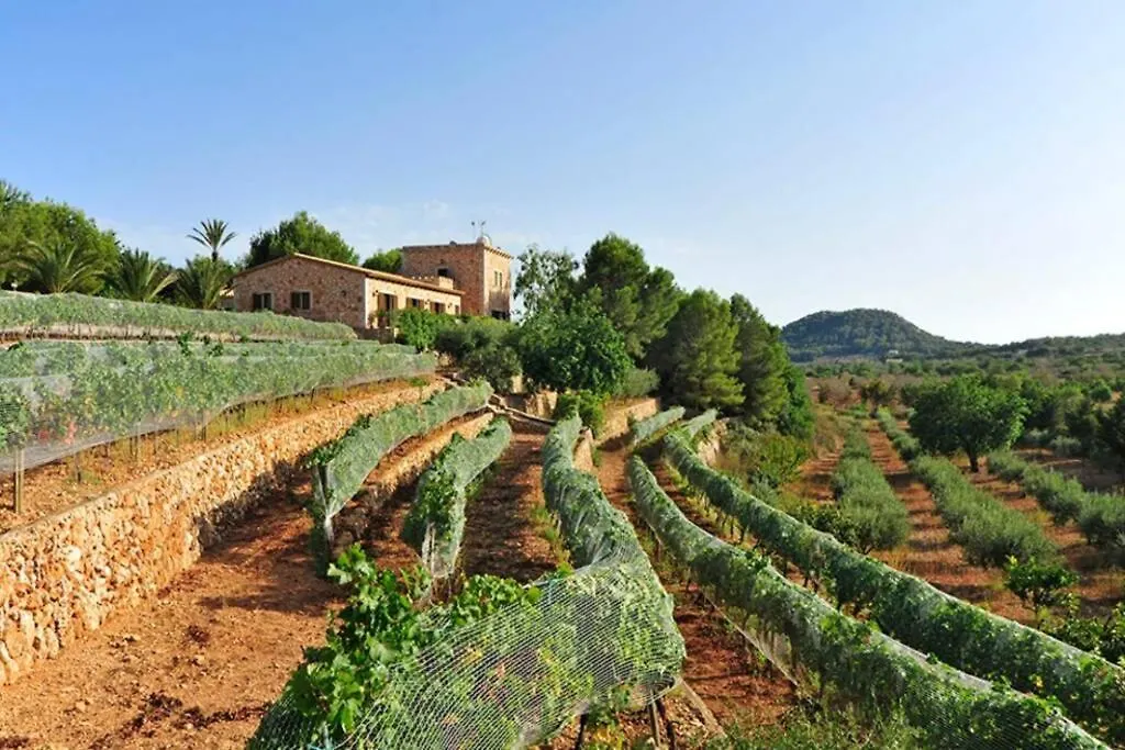 Es Castell De Ca N'Alou De Ses Cases Noves S'Horta