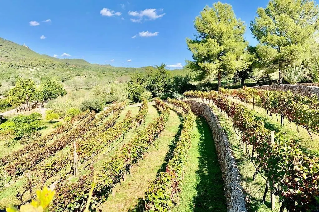 فيلة Es Castell De Ca N'Alou De Ses Cases Noves S'Horta