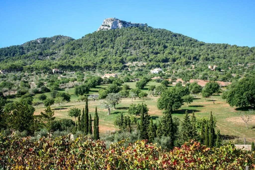 Es Castell De Ca N'Alou De Ses Cases Noves S'Horta 0*,
